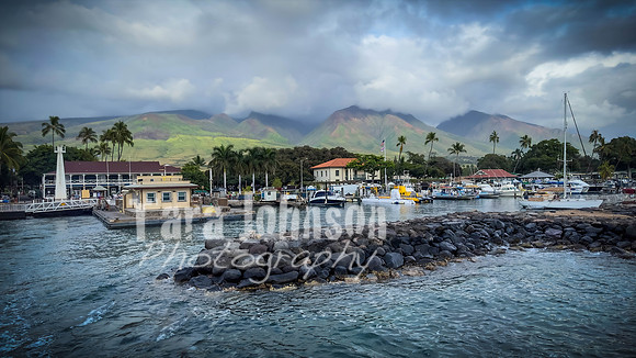2023 Maui - Whale Watching Dinner Cruise - TJP (1 of 28)