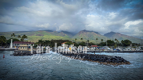 2023 Maui - Whale Watching Dinner Cruise - TJP (2 of 28)