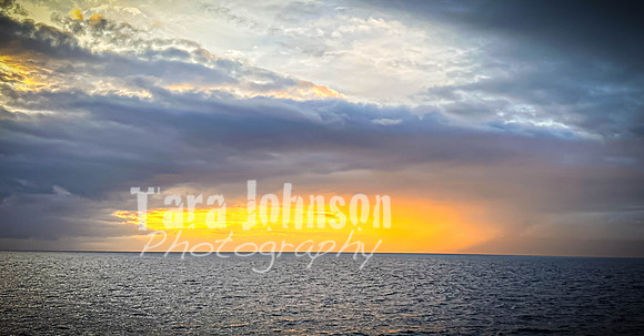 2023 Maui - Whale Watching Dinner Cruise - TJP (22 of 28)