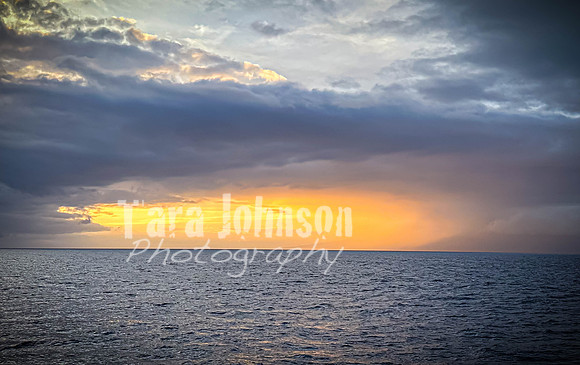 2023 Maui - Whale Watching Dinner Cruise - TJP (23 of 28)