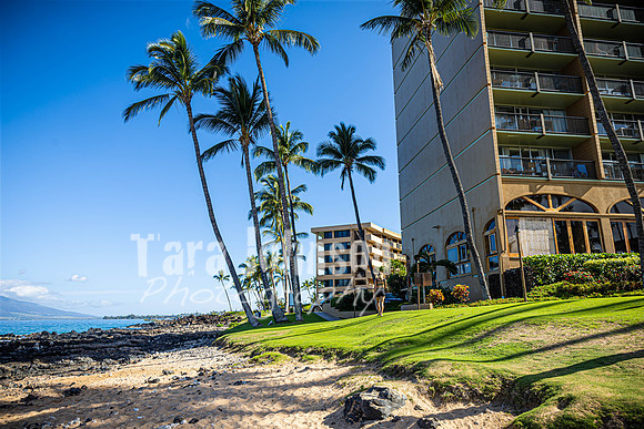 2023 Maui - Surfside - TJP (36 of 70)