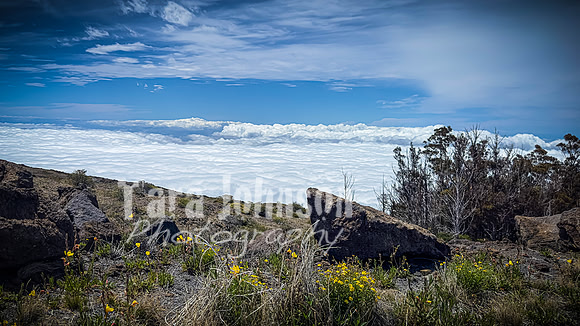 2023 Maui - Mt. Halaekala - TJP (4 of 41)