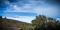 2023 Maui - Mt. Halaekala - TJP (2 of 41)