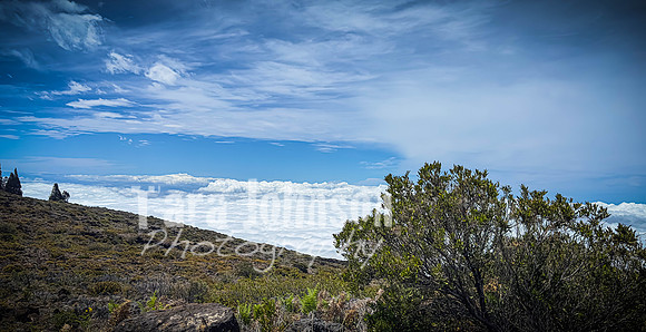 2023 Maui - Mt. Halaekala - TJP (2 of 41)
