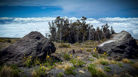 2023 Maui - Mt. Halaekala - TJP (3 of 41)