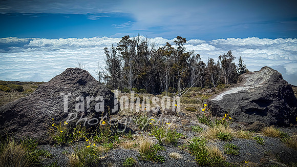 2023 Maui - Mt. Halaekala - TJP (3 of 41)