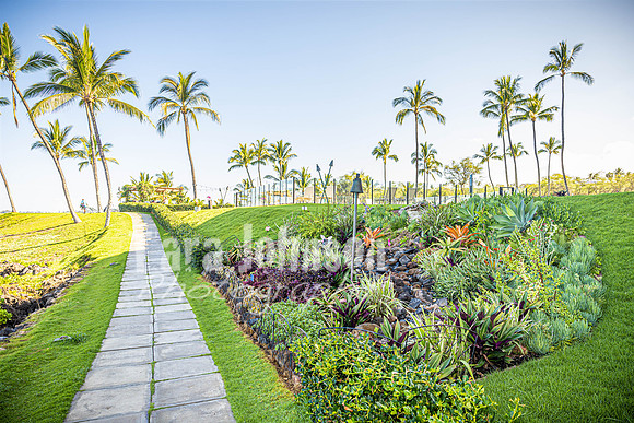 2023 Maui - Surfside - TJP (38 of 70)