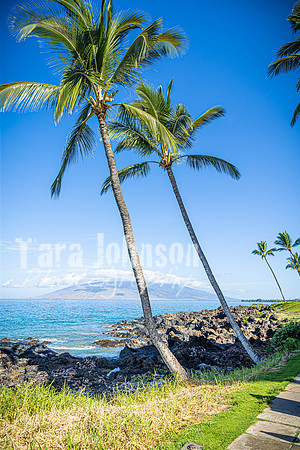 2023 Maui - Surfside - TJP (37 of 70)