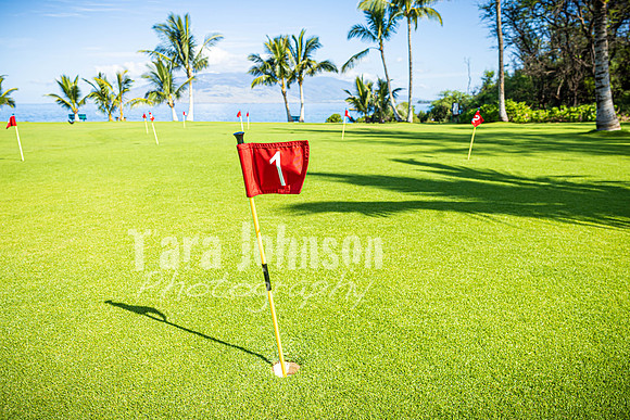 2023 Maui - Surfside - TJP (40 of 70)