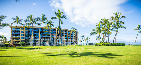 2023 Maui - Surfside - TJP (41 of 70)