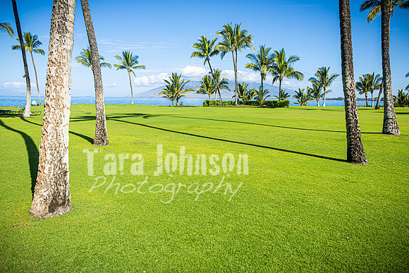 2023 Maui - Surfside - TJP (39 of 70)