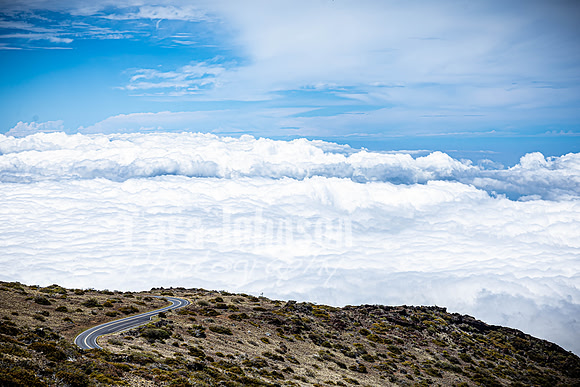 2023 Maui - Mt. Halaekala - TJP (10 of 41)
