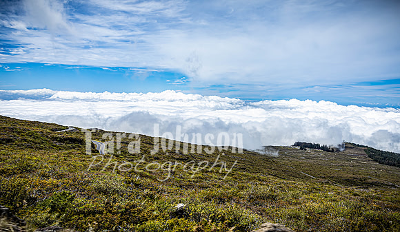 2023 Maui - Mt. Halaekala - TJP (9 of 41)