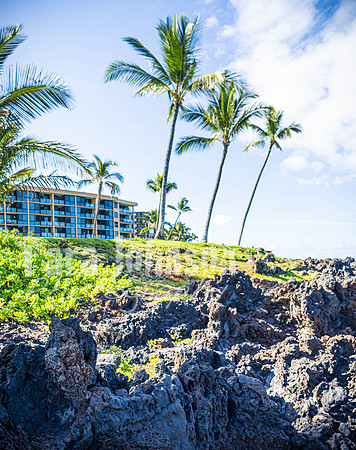 2023 Maui - Surfside - TJP (43 of 70)