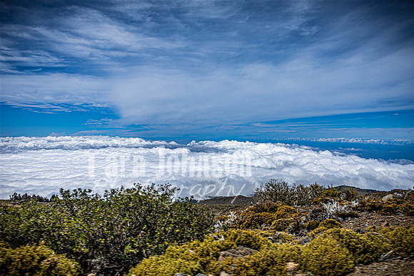 2023 Maui - Mt. Halaekala - TJP (11 of 41)