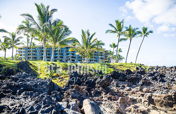 2023 Maui - Surfside - TJP (42 of 70)