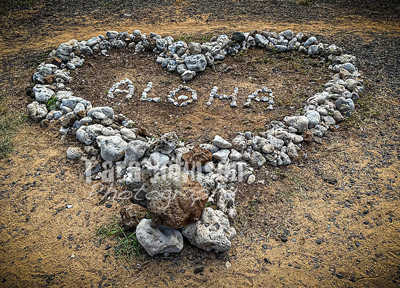 2023 Maui - Surfside - TJP (52 of 70)