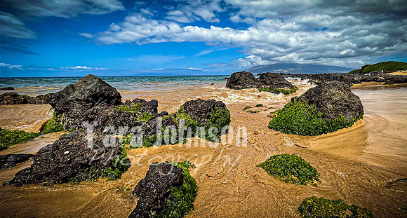 2023 Maui - Surfside - TJP (61 of 70)