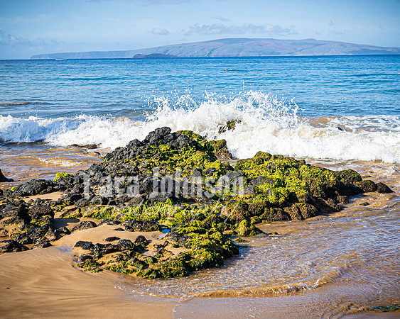 2023 Maui - Surfside - TJP (67 of 70)