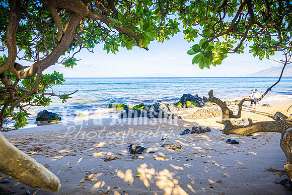 2023 Maui - Surfside - TJP (70 of 70)