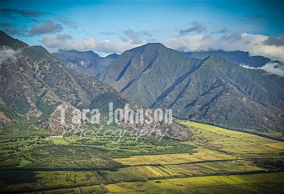 2023 Maui - Vacation - TJP (5 of 44)