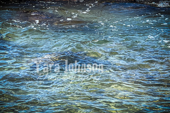 2023 Maui - Vacation - TJP (14 of 44)