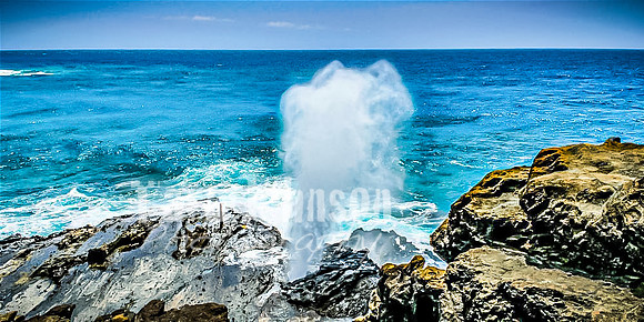 SAHT - Highlights - 6 - O'ahu Coast - TJP (2 of 7)