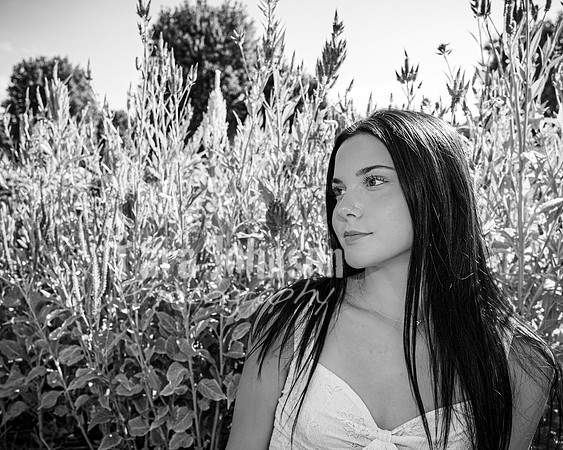 Hannah Horton @ Terraces Flower Farm & Cedar Island - BW - TJP (66 of 104)
