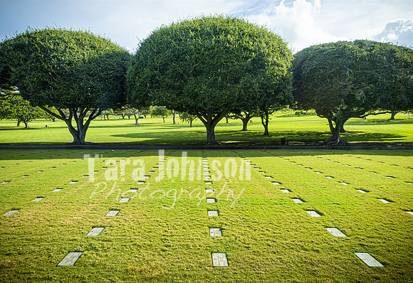 SAHT - Highlights - 12 - Punchbowl Cemetary & O'ahu Airfield - TJP (2 of 6)