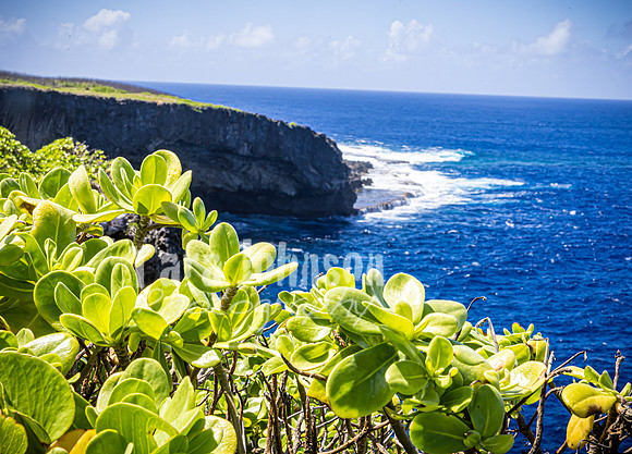 SAHT - Highlights - 14 - Suicide & Banzai Cliffs in Saipan - TJP (5 of 12)