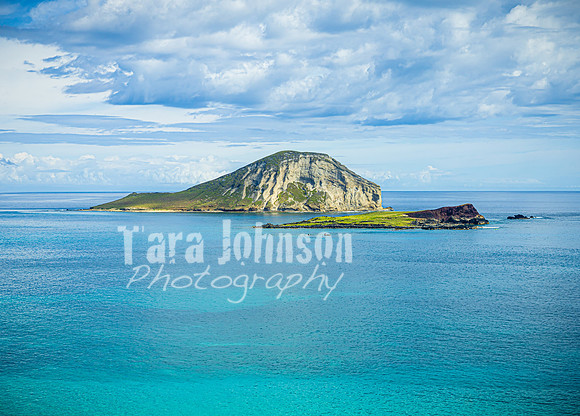 SAHT - Highlights - 6 - O'ahu Coast - TJP (4 of 7)