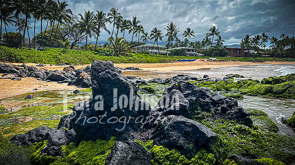 2023 Maui - Highlights - TJP (54 of 74)