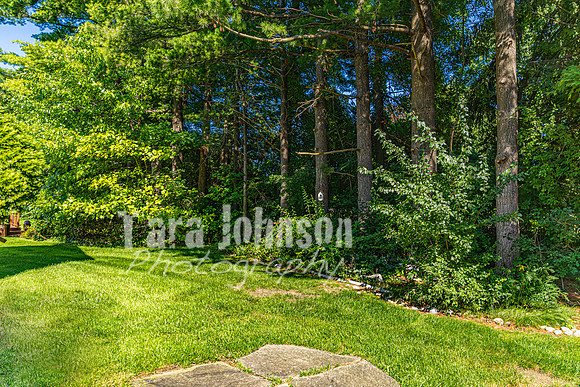 Homestead - 5373 Forest Ridge Dr. (8MB Max) - TJP (10 of 74)