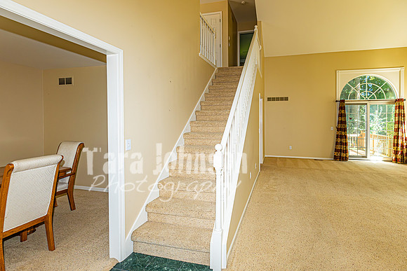 Homestead - 5373 Forest Ridge Dr. (8MB Max) - TJP (13 of 74)
