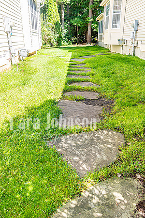 Homestead - 5373 Forest Ridge Dr. (8MB Max) - TJP (12 of 74)