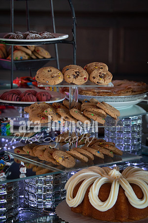 23 U of D - Prom (42 of 259)