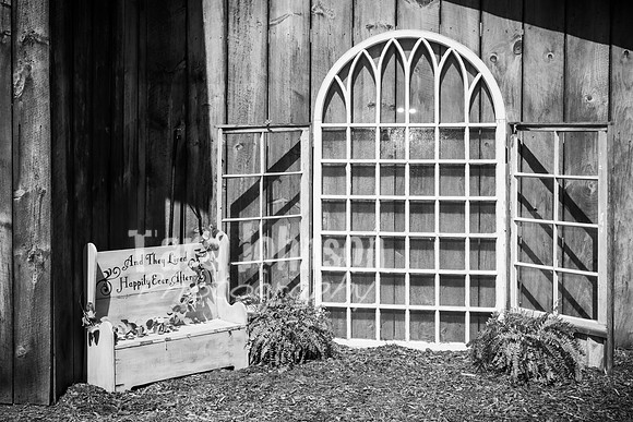 Tim & Corrissa - Complete - BW - TJP (17 of 585)