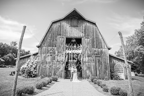 Doug & Bridget Law - Complete - BW - TJP (143 of 551)