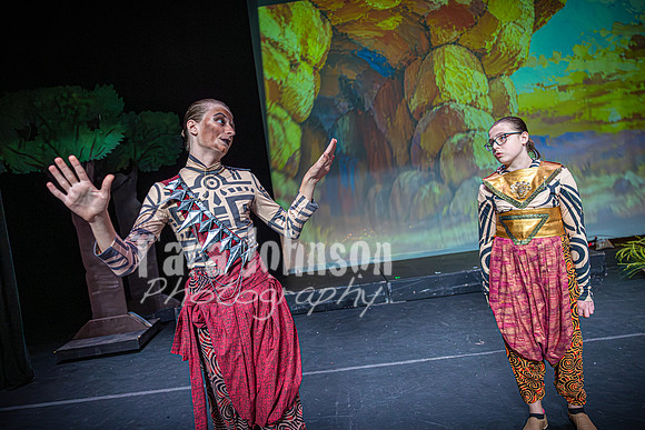 26 HVCT MS - Lion King - Highlights - TJP (4 of 35)
