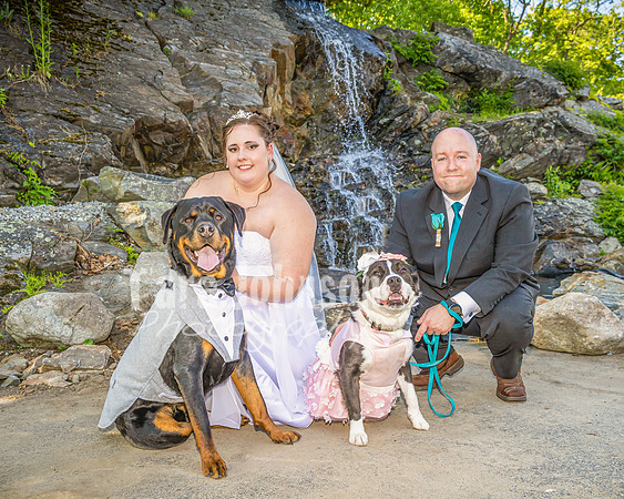 Andrew and Amanda - Highlights - TJP (69 of 136)