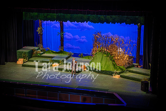 2024 MTC - Honk - Senior Show (Thursday) - TJP (170 of 360)