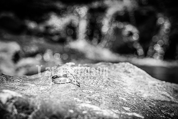 Andrew and Amanda - Complete - BW - TJP (80 of 719)