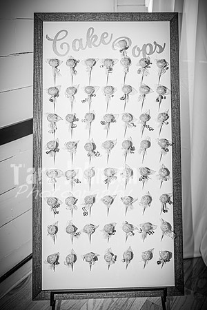 Andrew and Amanda - Complete - BW - TJP (69 of 719)