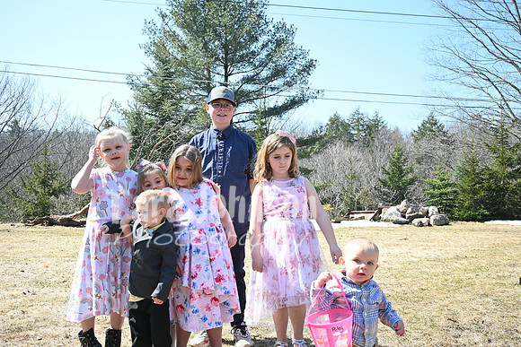 Collection1 (414 of 561)