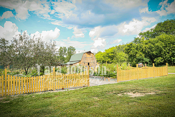 Zack & Emmy - Venue - TJP (82 of 84)