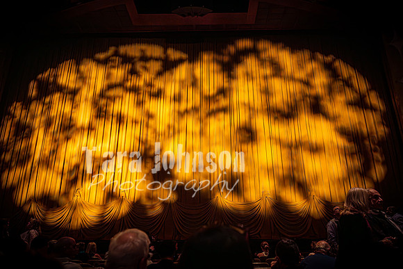 *2023 Sutton Foster Awards - Jillian Armstrong & Joe Meager - TJP (91 of 211)