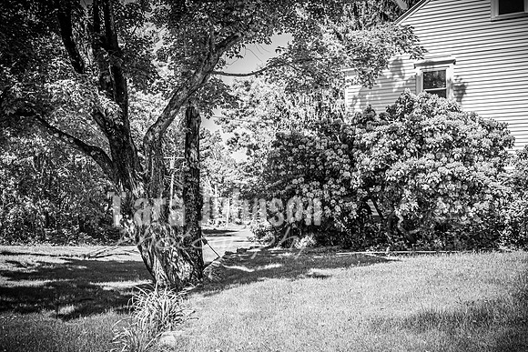 Andrew and Amanda - Complete - BW - TJP (28 of 719)