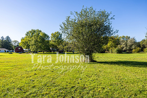 Homestead - 1350 N. Iva St.(8 MB max) - TJP (31 of 81)