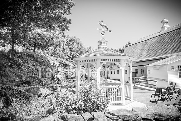 Andrew and Amanda - Complete - BW - TJP (44 of 719)