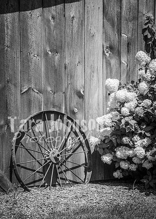 24 D & B Law Wedding - Full Collection B&W (125 of 308)